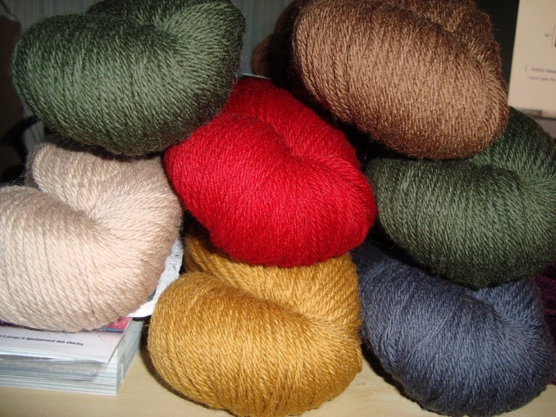 T5 - Dr Who Scarf Laines