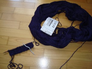 T9 - Echarpe torsades 1