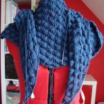 T14 - Cheche experte phildar 7