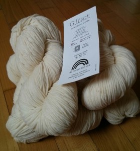 T47 - Morning in Engelberg 1