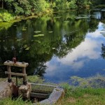 Autres - desfibresauxfils 8